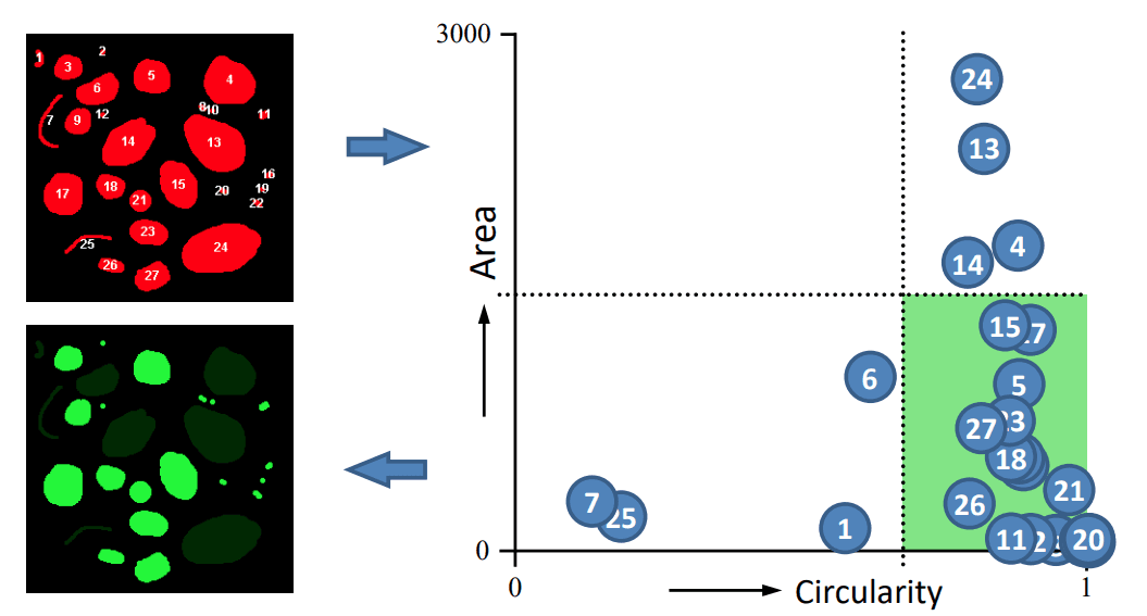 shape_descriptor